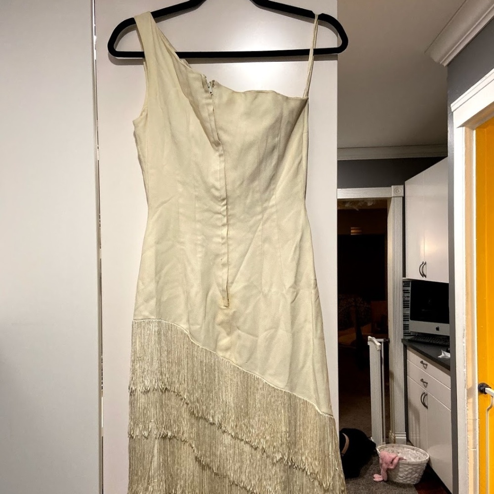 Vintage Lili Diamond 1960 Finge Dress